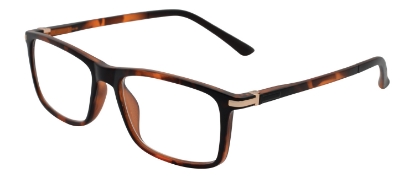Cairo - Tortoiseshell Cairo - Tortoiseshell